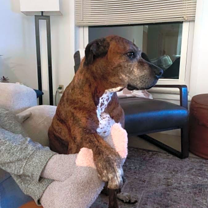 Photo of Ozzie