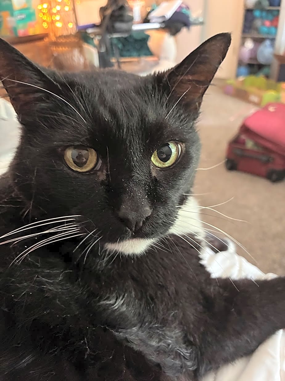 Photo of Felix