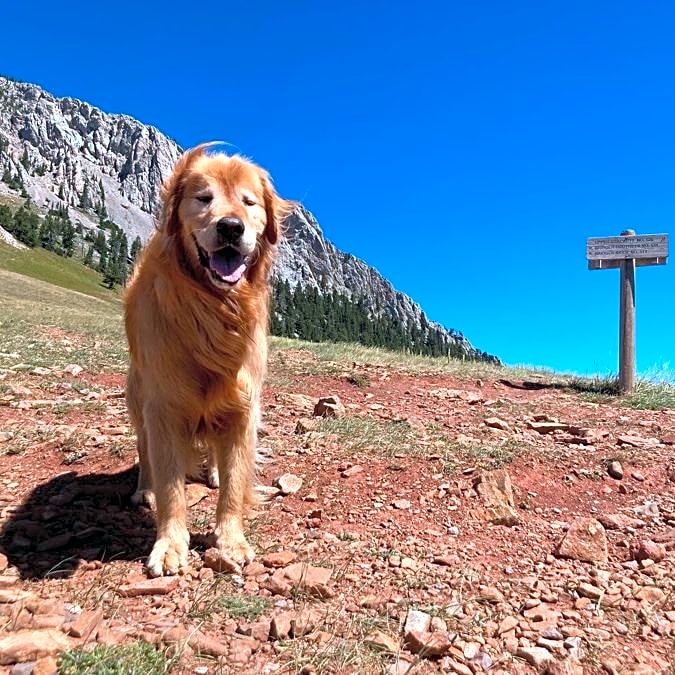 Photo of Moab