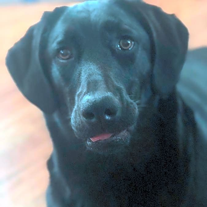 Photo of Ruby