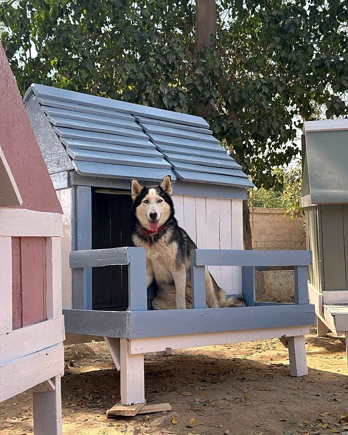 Photo of New Sanctuary Build-out