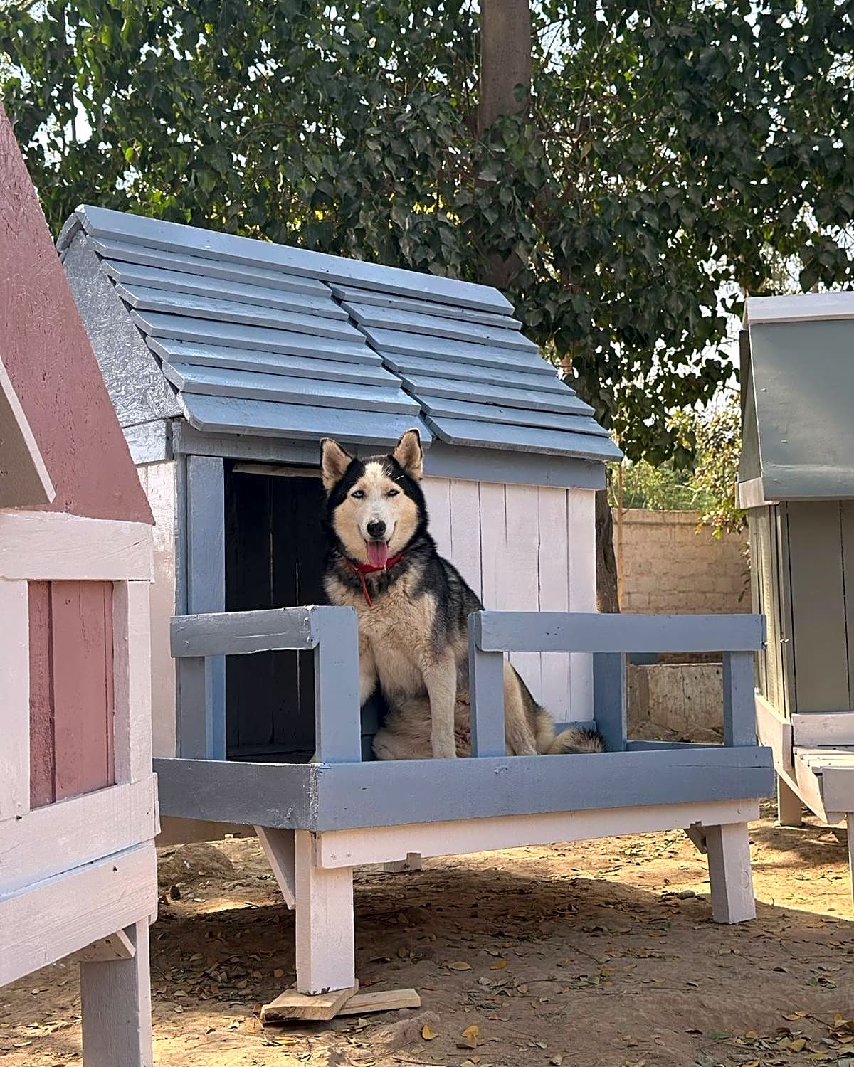 Photo of New Sanctuary Build-out