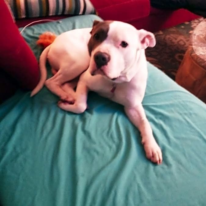 Photo of Riot