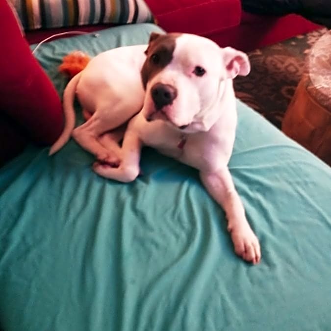 Photo of Riot