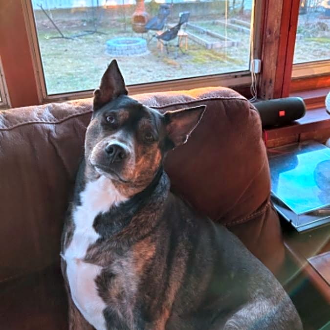 Photo of Wesson