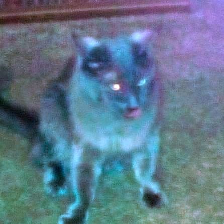 Photo of Sterling