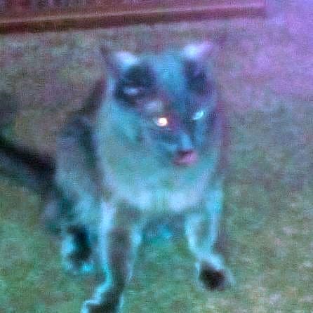 Photo of Sterling