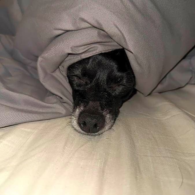 Photo of Lucy