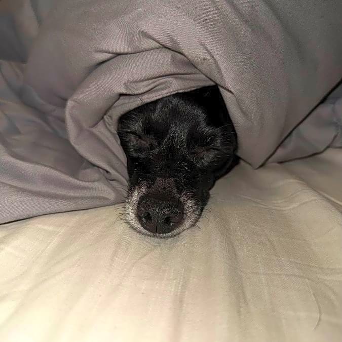 Photo of Lucy