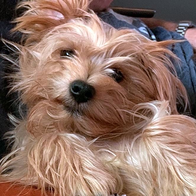 Photo of Minnie