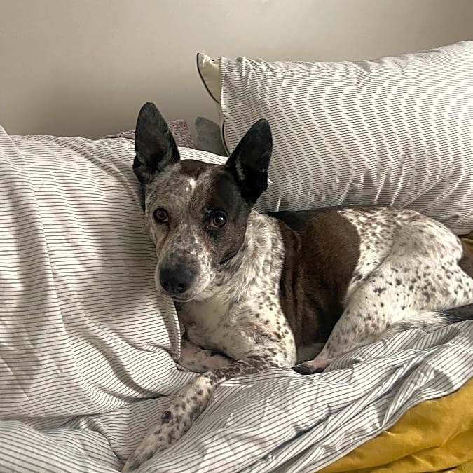 Photo of Mia