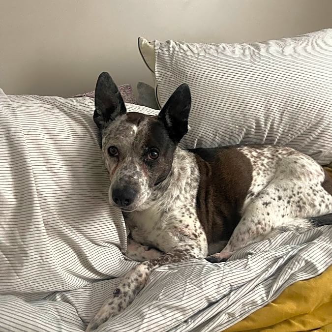 Photo of Mia