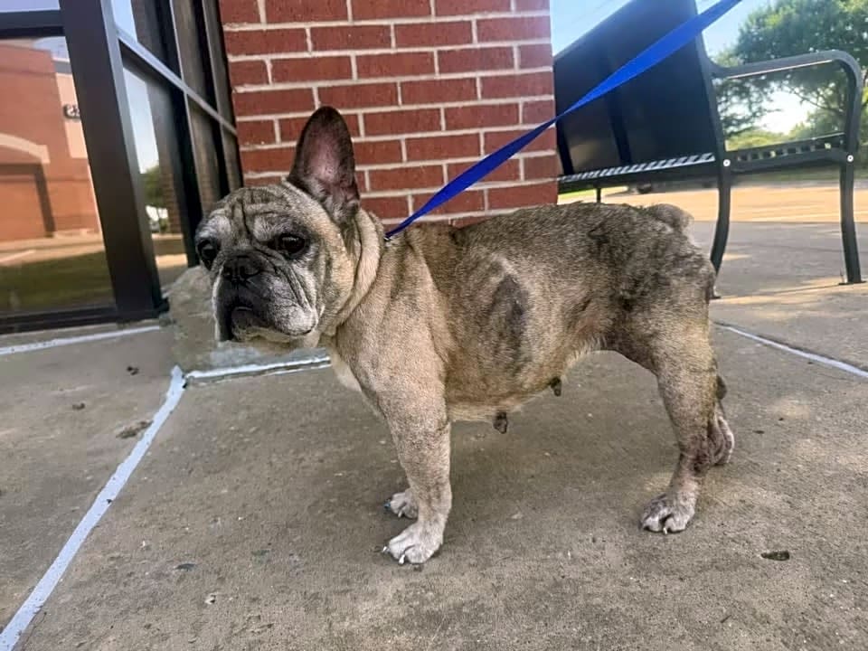 Photo of Bailey Mae