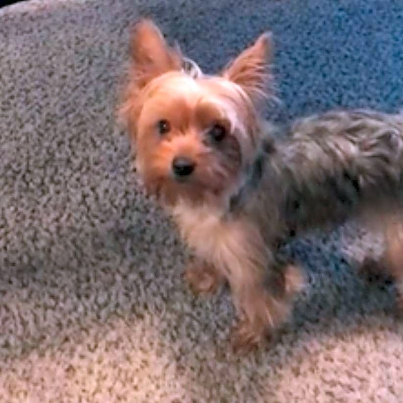 Photo of Bella