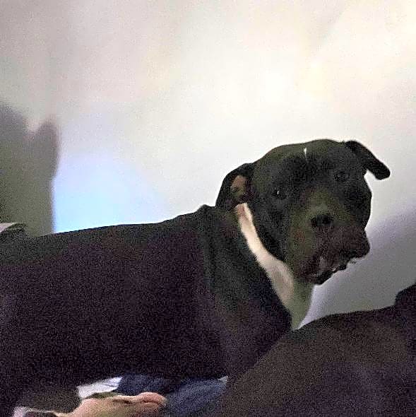 Photo of Kratos