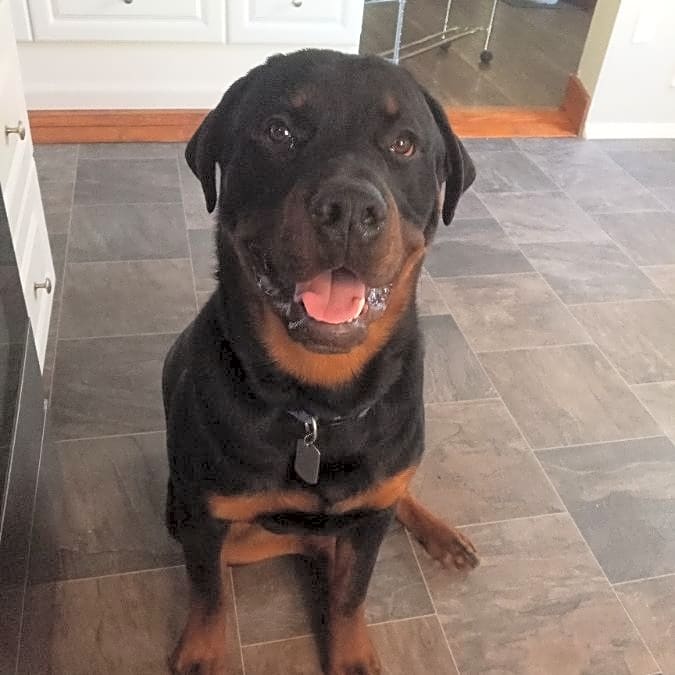 Photo of Gunner