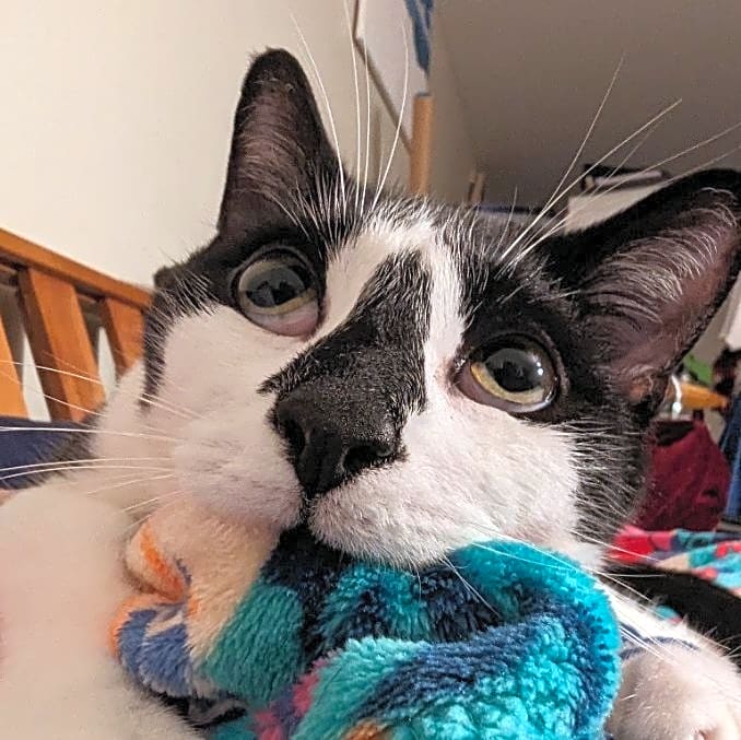 Photo of William