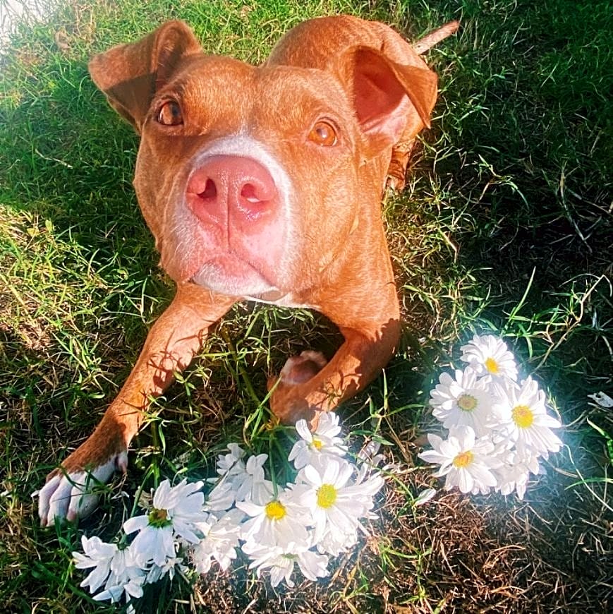 Photo of Princess