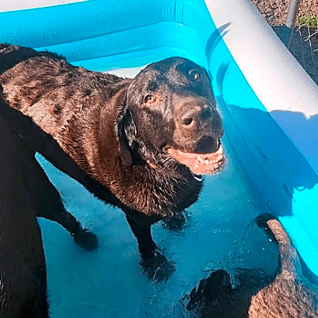 Photo of Zeus