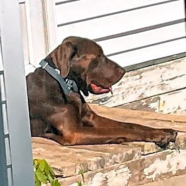 Photo of Sheriff