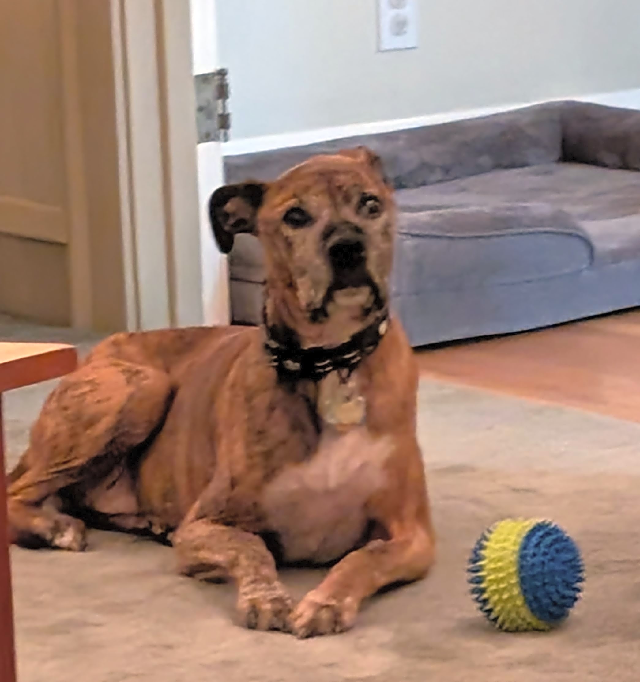 Photo of Wilbert