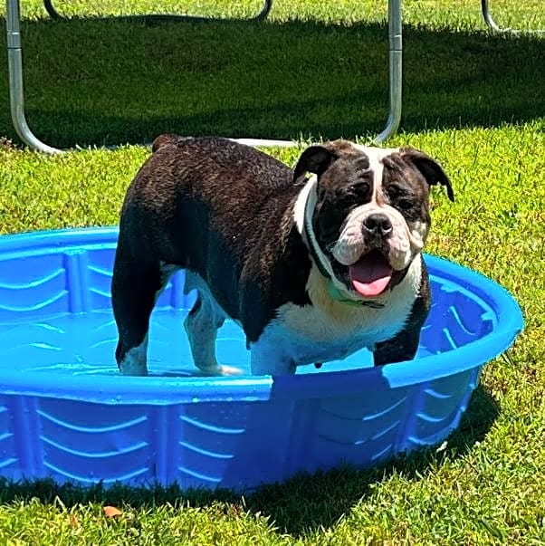 Photo of Passion