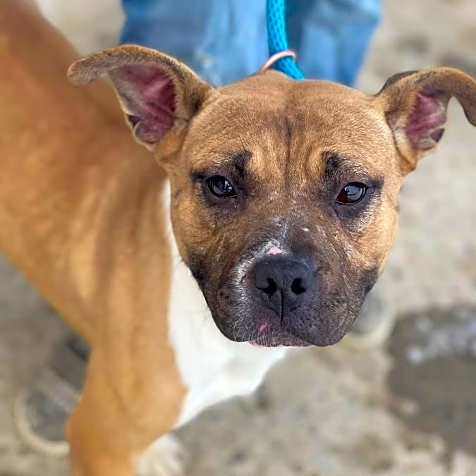 Photo of Harley
