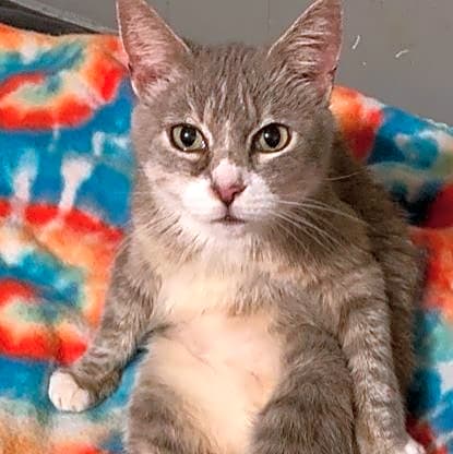 Photo of Smudge Pudge