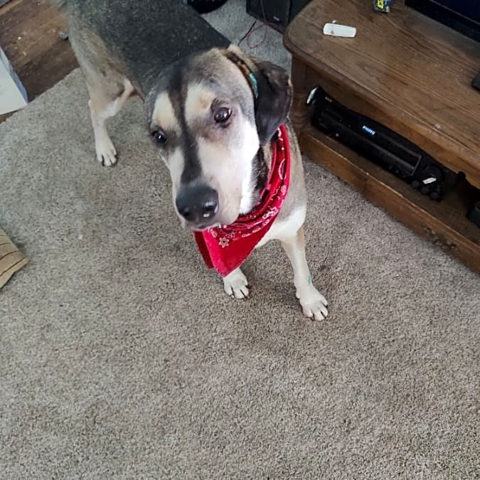 Photo of Uno