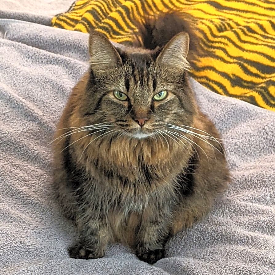 Photo of Zoey
