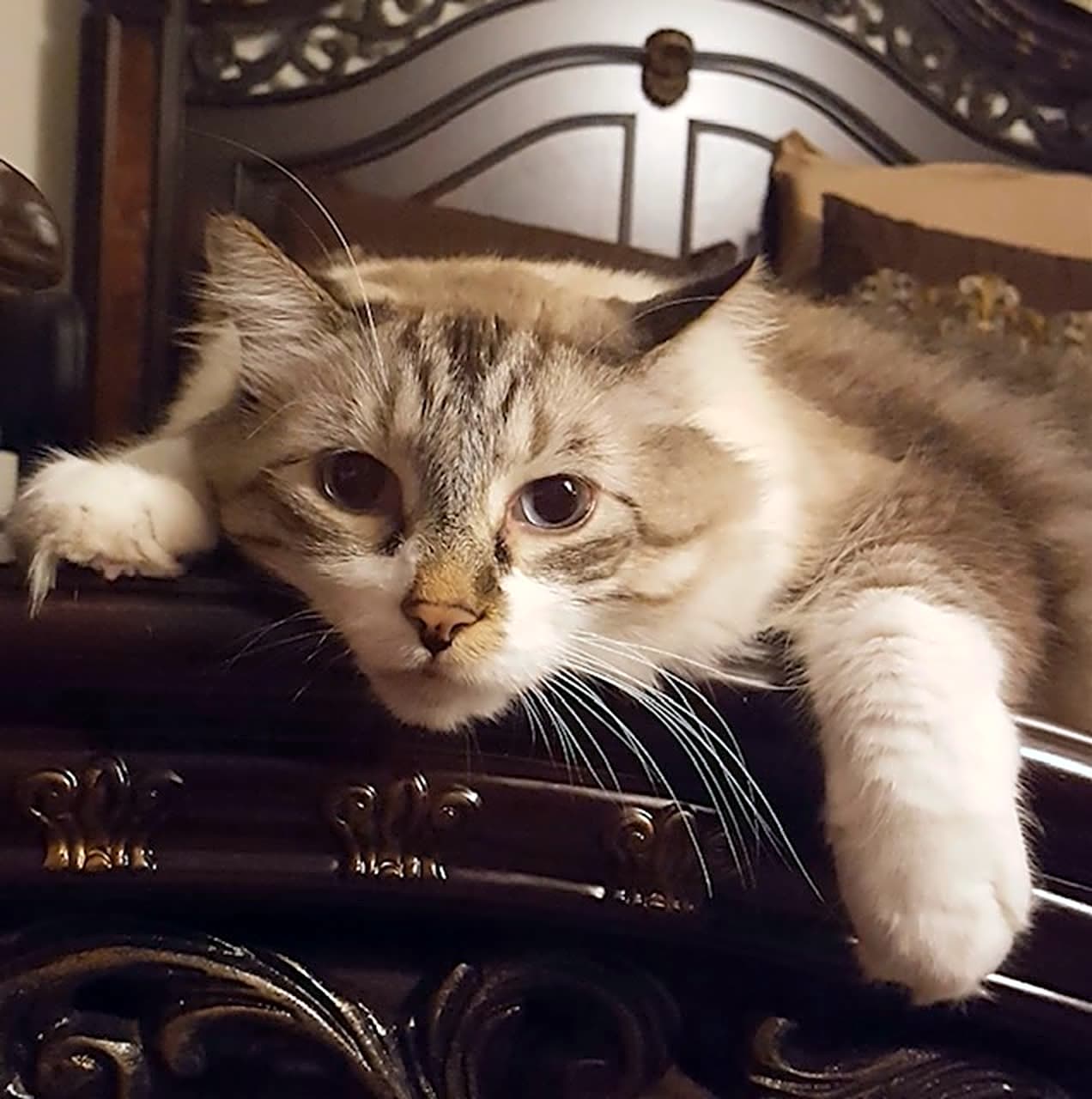 Photo of Cloud