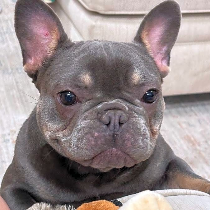 Photo of Jewelz
