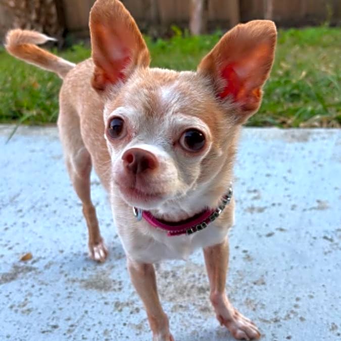 Photo of Muki