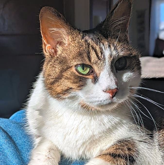 Photo of Sierra (Cyrah)