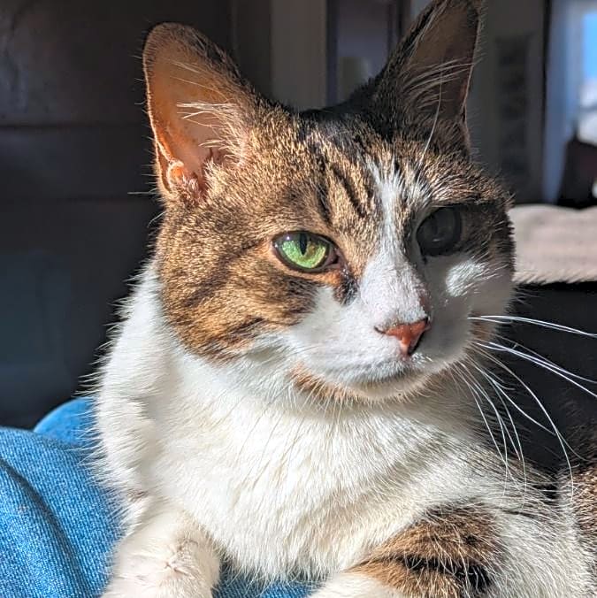 Photo of Sierra (Cyrah)