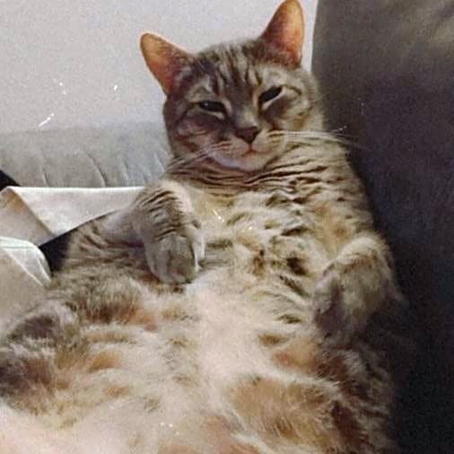 Photo of Castiel