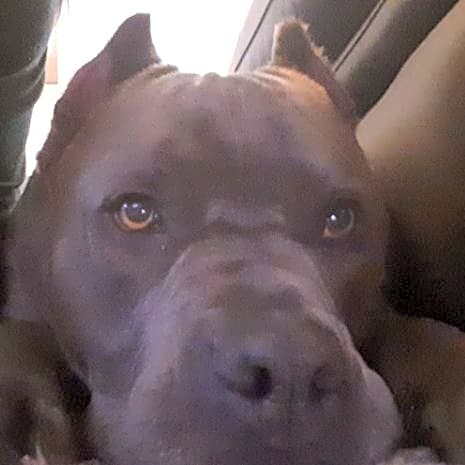 Photo of Capone