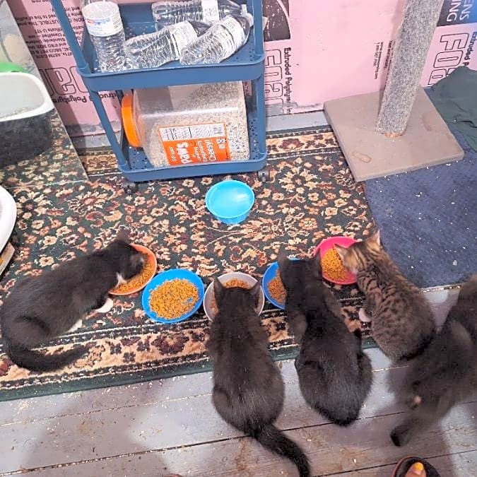 Photo of Riot