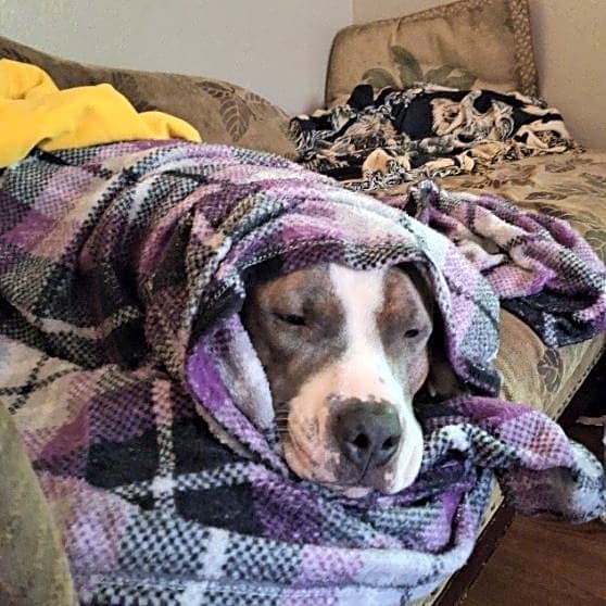 Photo of Willy