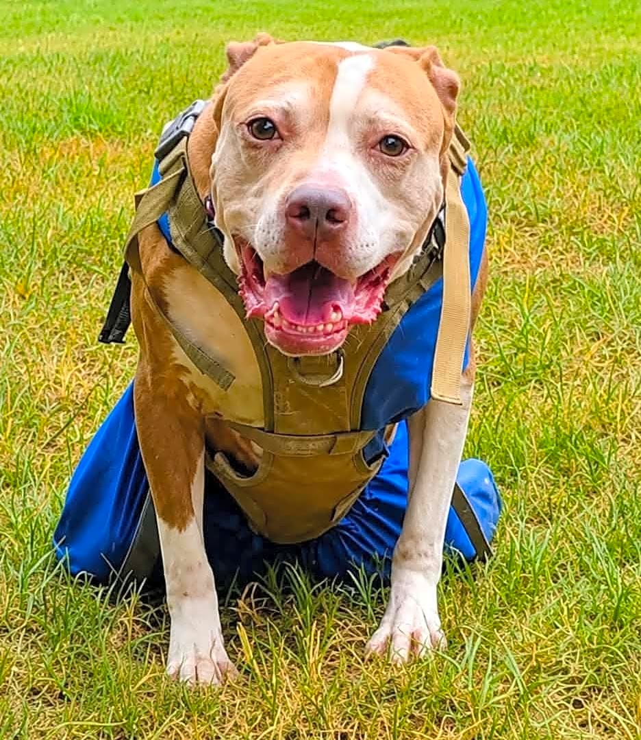 Photo of Charlie