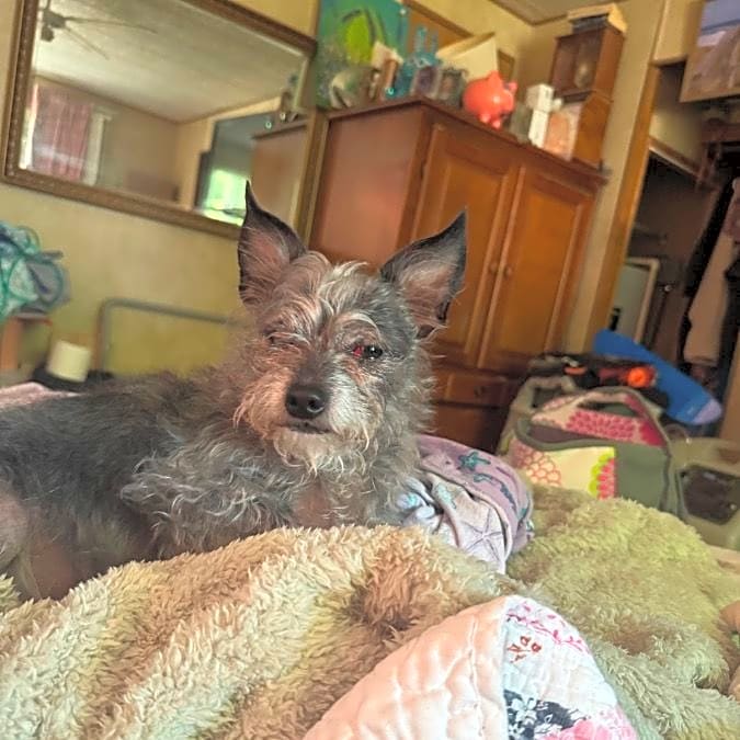 Photo of Bennie