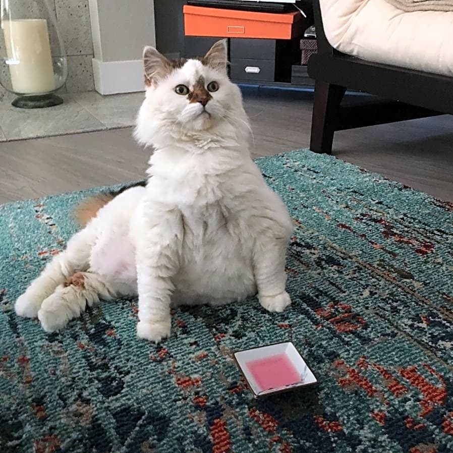 Photo of Zoey
