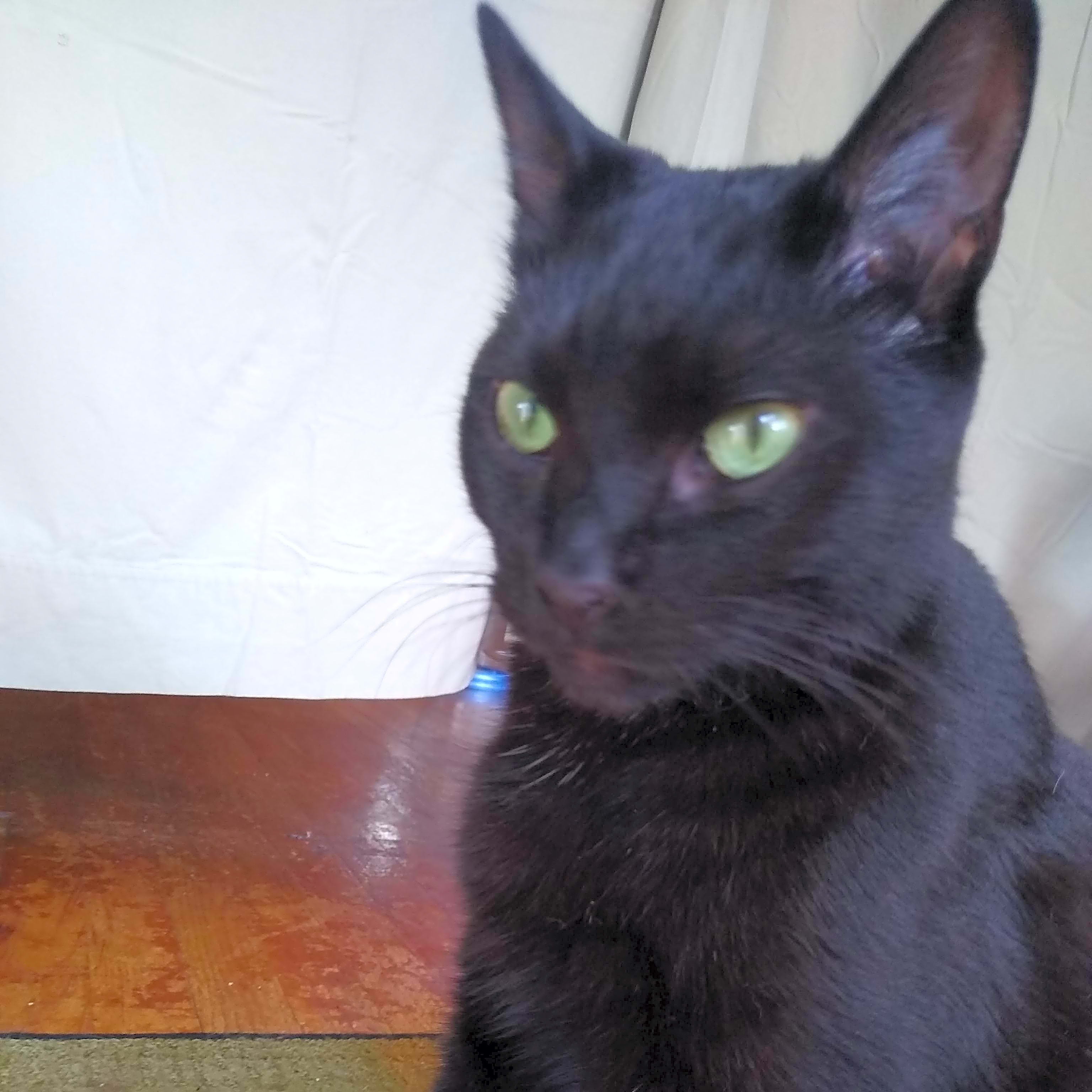 Photo of Jack