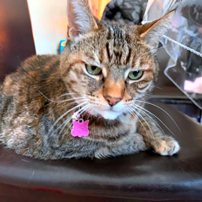 Photo of Holly