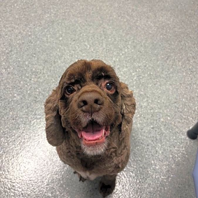 Photo of Charlie