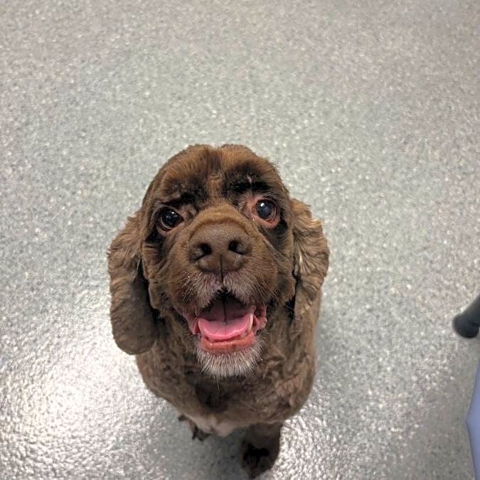 Photo of Charlie