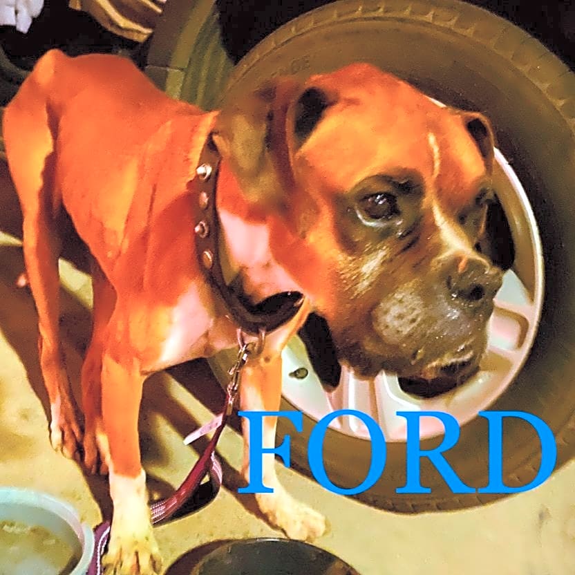 Photo of Ford