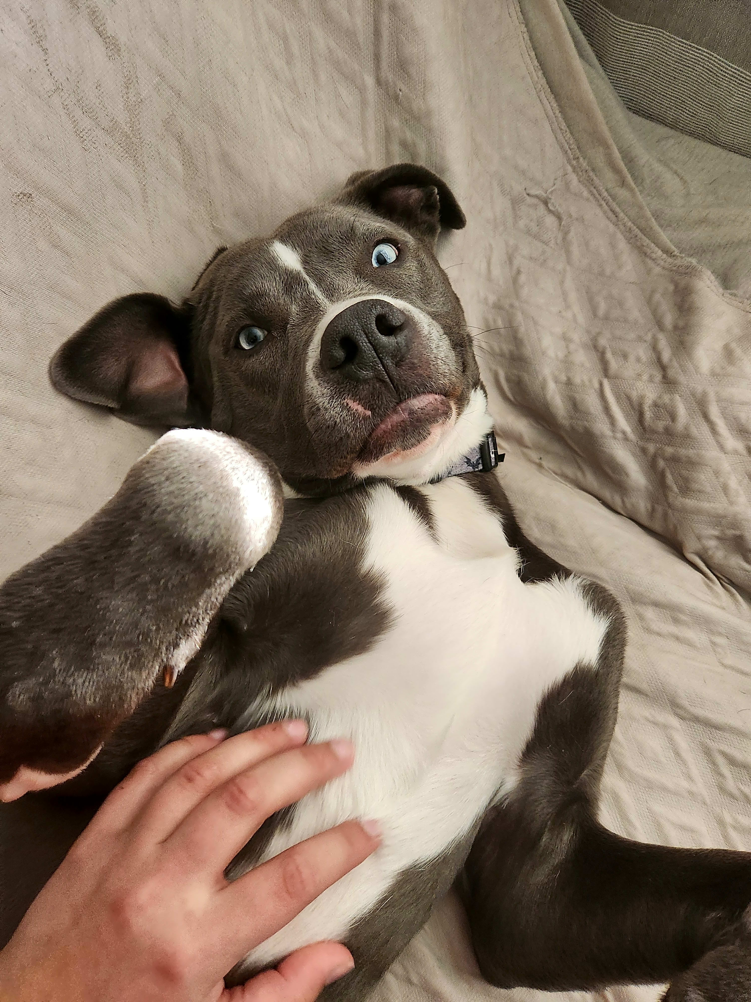 Photo of Ares