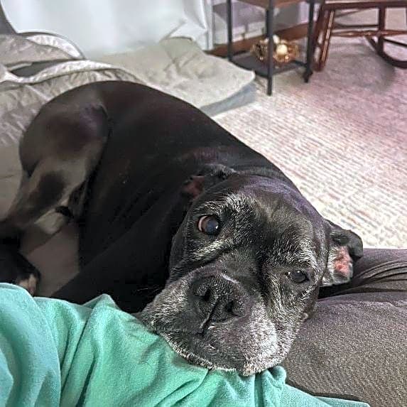 Photo of Chloe