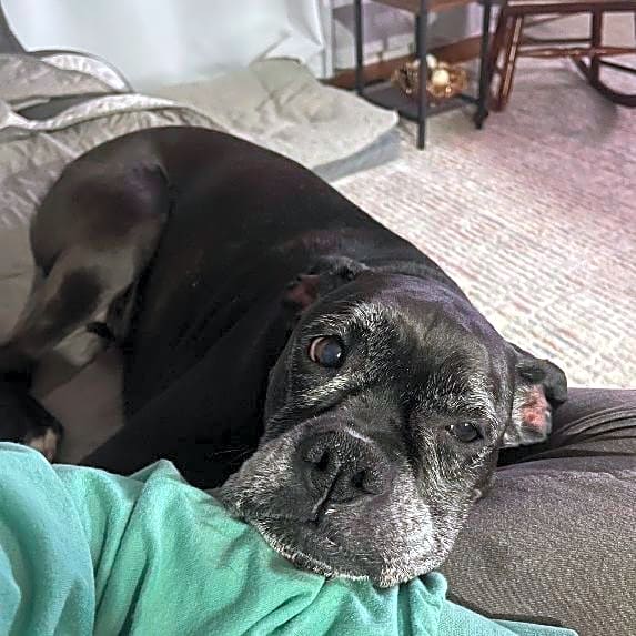 Photo of Chloe